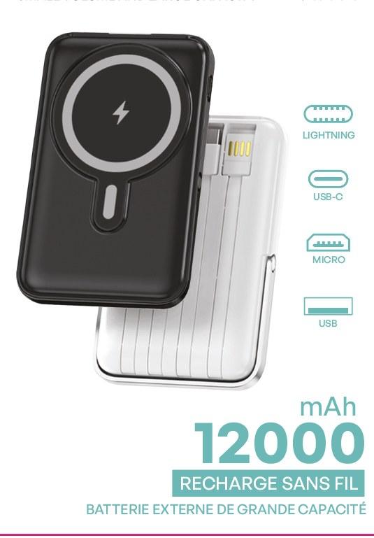 Batterie externe 12000mAh Câble 4 en 1 integrés